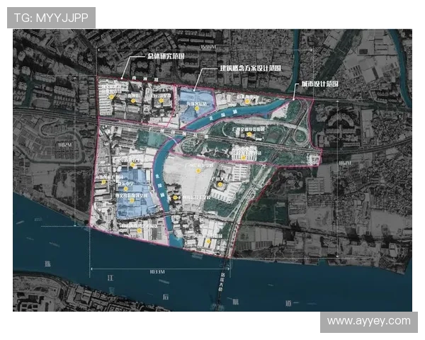 广州排球队的速度提升与战术创新探讨