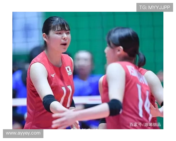 武汉排球队在欧锦赛中的默契配合与战术分析