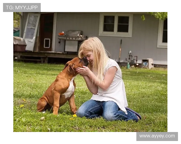 足球明星温暖心灵瞬间与粉丝互动展现真诚情感的感人时刻