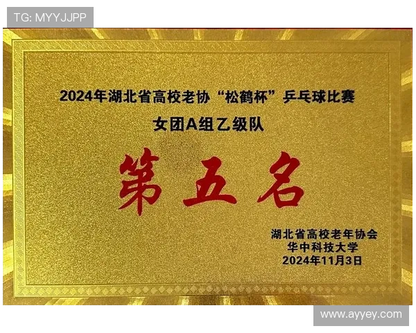 乒乓球的梦想与坚持：西安乒乓球队成长历程的真实记录与反思